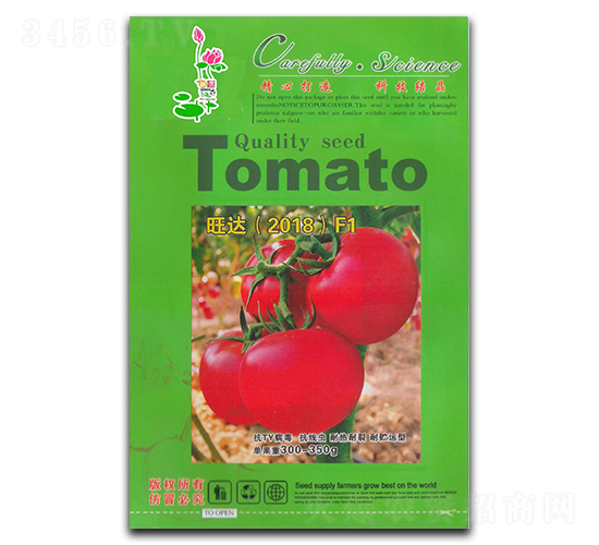 ���t���N��-���_��2018��F1-���J�tϲ