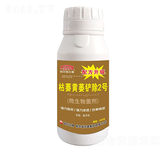 ��ή�Sή�P��2̖-�����r��