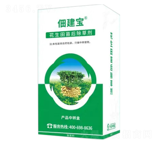 �����������݄�-�轨��-�Z�����r�I