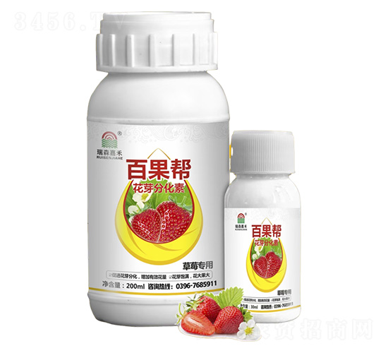 ��ݮ���û�ѿ�ֻ���-�ٹ���-��ɭ�κ�