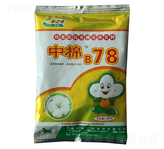 中棉B78-棉花種子-中棉種業