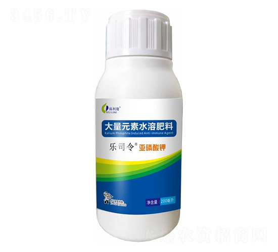 �������-��˾��-����¡����