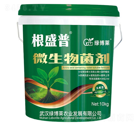 ������΢�������-��ʢ��-�G���R