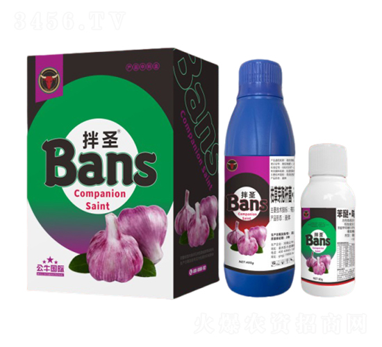 �����N������H-��ʥ-��ţ���H