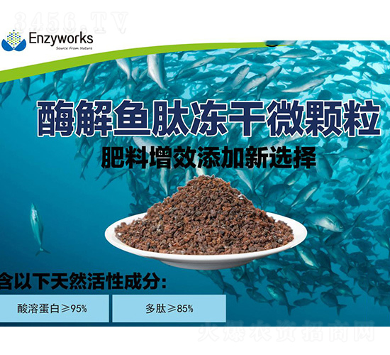 酶解魚肽凍干微顆粒-中肽生物