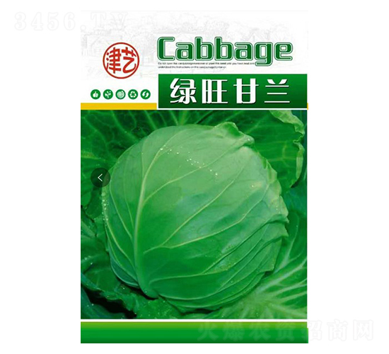 甘藍(lán)種子-綠旺甘藍(lán)-邯豐農(nóng)業(yè)