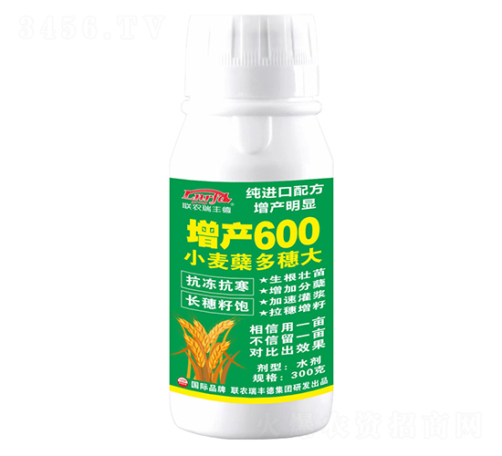 300g小麥蘗多穗大增產600-北美農大