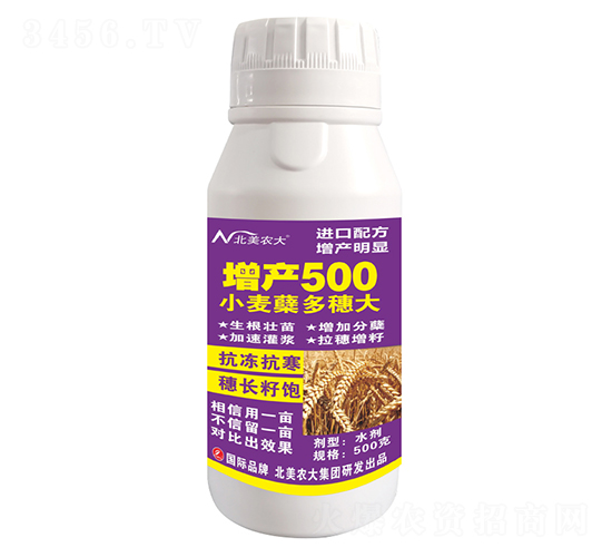小麥蘗多穗大增產500-北美農大