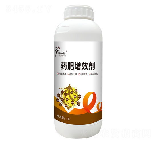 ˎ����Ч��-��ľ�B�r�I