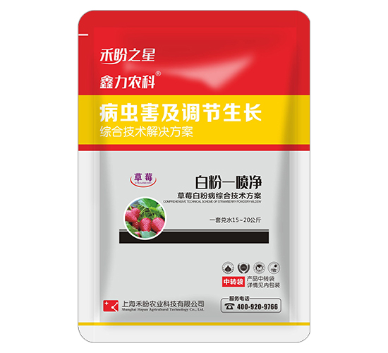 ��ݮ�׷۲��C�ϼ��g����-�׷�һ����-����֮��-�����r�I