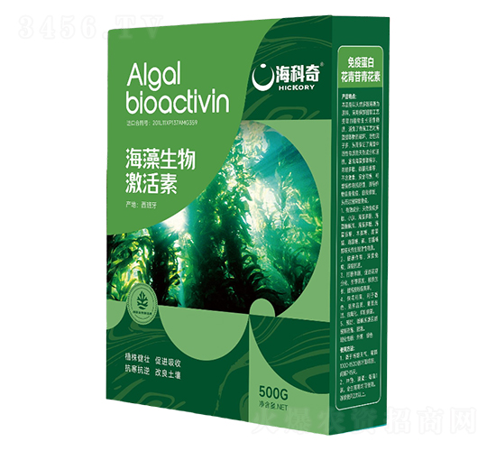 �������Ｄ����-������