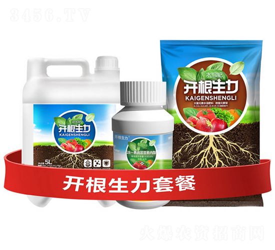 �_�������ײ�F-�ƴ�Ƽ�