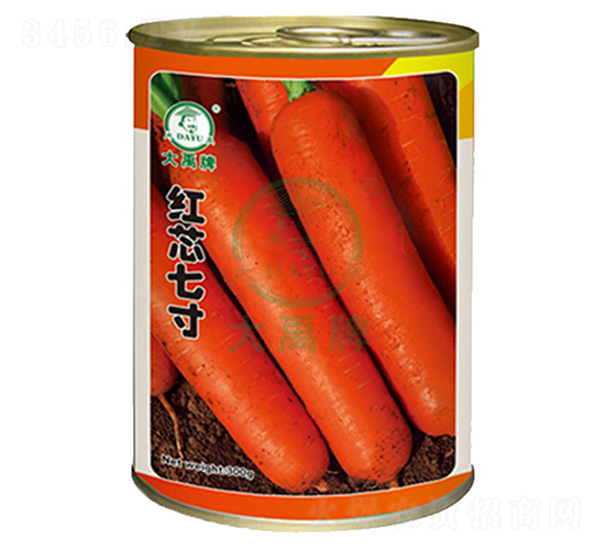 �tо�ߴ���}���N��-�����N�I