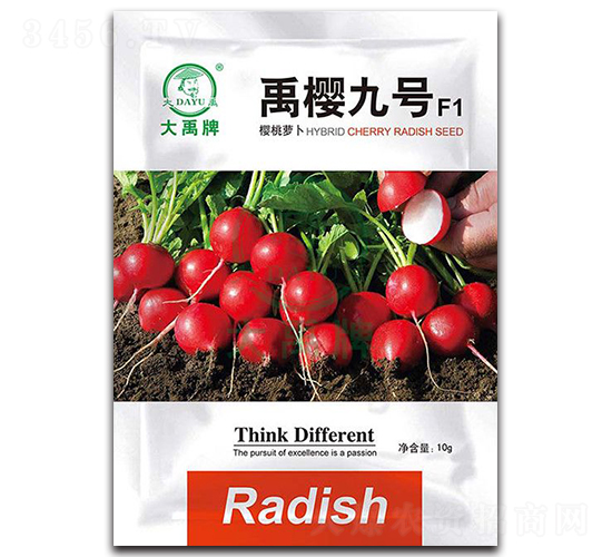 ��Ѿ�̖�����}���N��-�����N�I