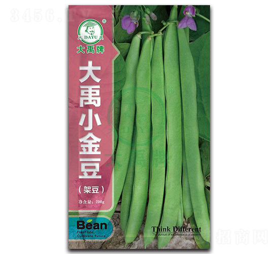 大禹小金豆-架豆種子-大禹種業
