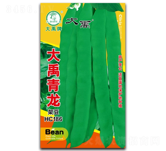 大禹青龍-架豆種子-大禹種業