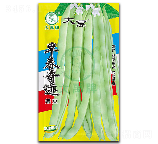 �紺���E-�ܶ��N��-�����N�I