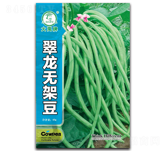 翠龍無架豆-架豆種子-大禹種業