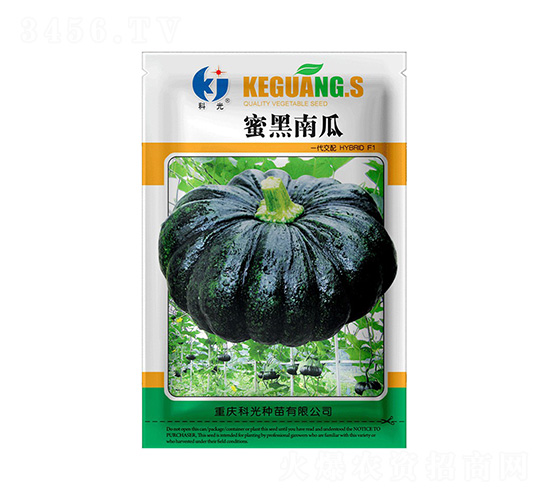 蜜黑南瓜-科光種苗