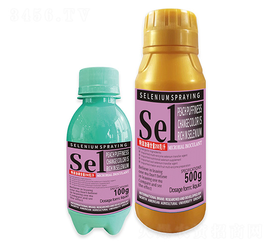 ������Dɫ��������1̖-�����r��