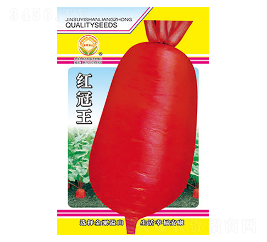 �}���N��-�t����-̫���N�I