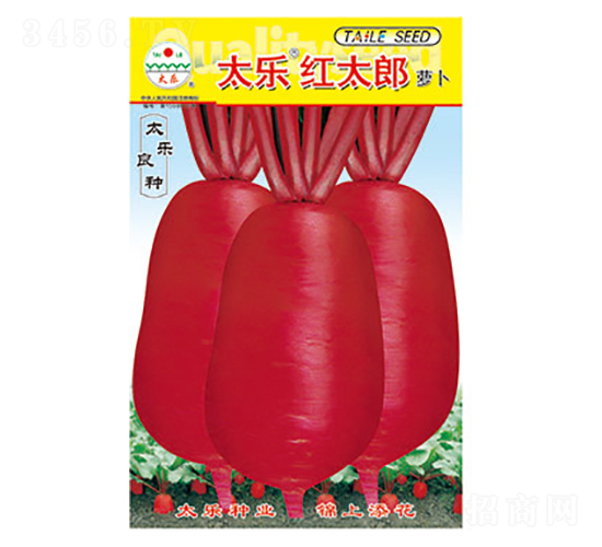 �}���N��-̫���t̫��-̫���N�I