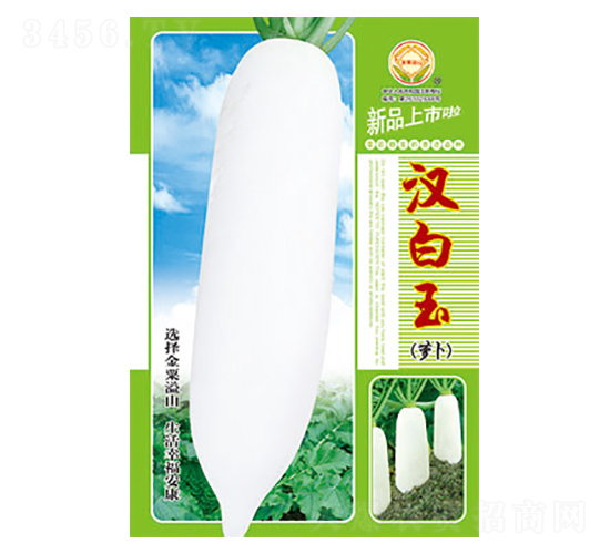 蘿卜種子-漢白玉-太樂種業