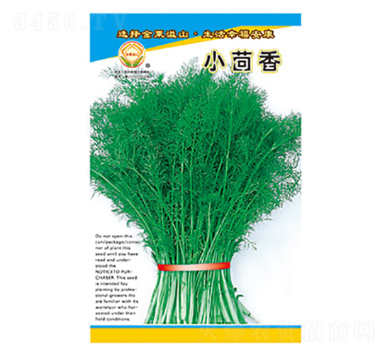 小茴香-太樂種業