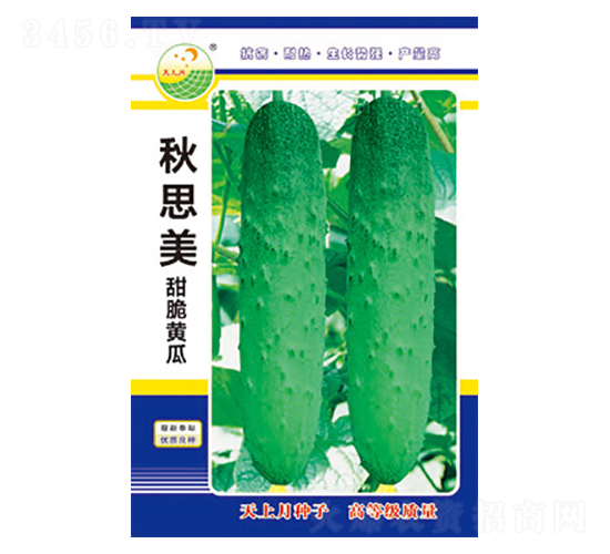 黃瓜種子-秋思美-太樂種業