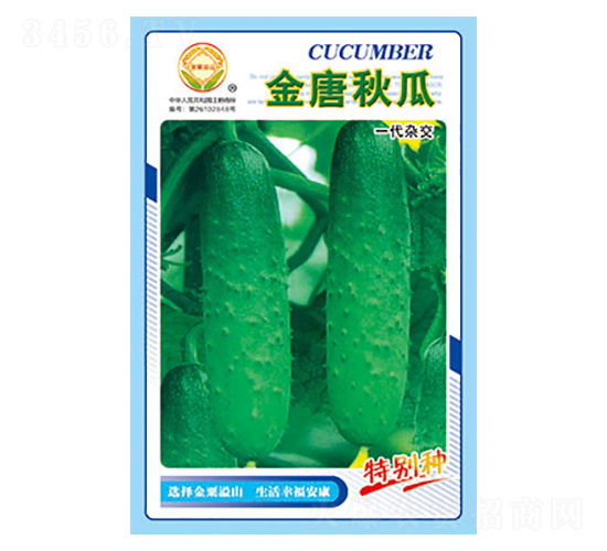 黃瓜種子-金唐秋瓜-太樂種業(yè)