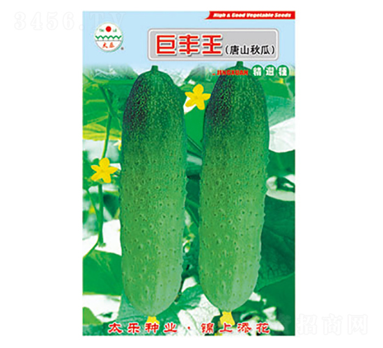黃瓜種子-巨豐王-太樂種業