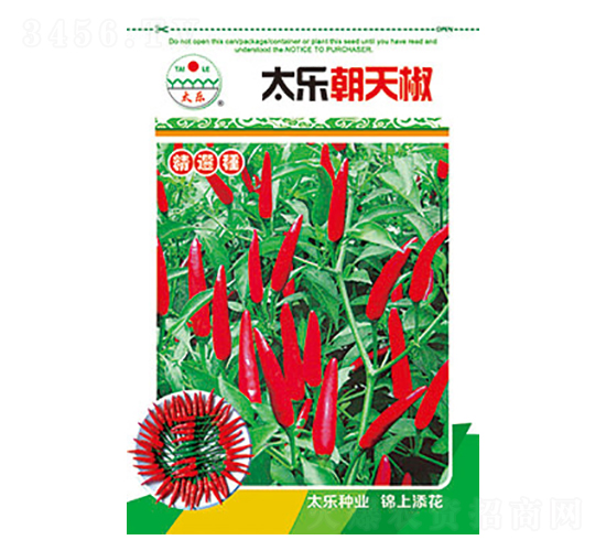 辣椒種子-太樂朝天椒-太樂種業