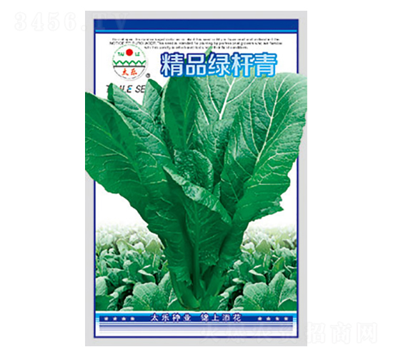 青菜種子-精品綠桿青-太樂種業