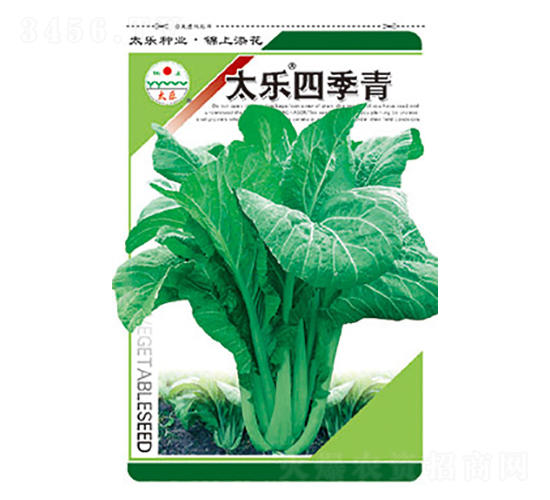 青菜種子-太樂四季青-太樂種業