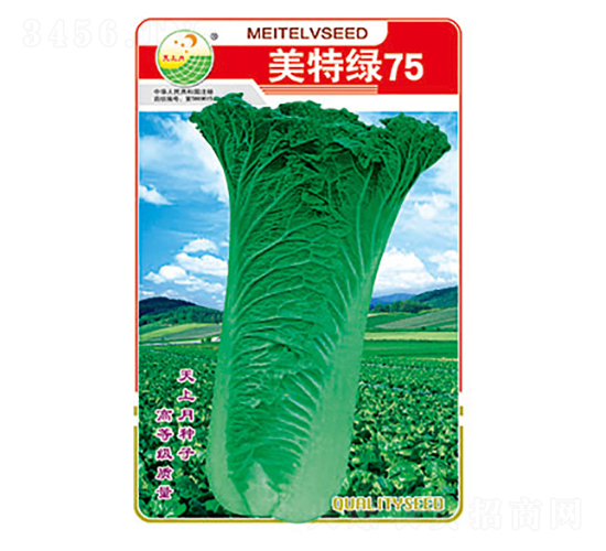 �ײ˷N��-���ؾG75-̫���N�I