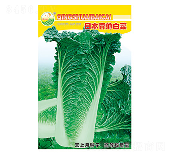 �ײ˷N��-�ձ������ײ�-̫���N�I(y��)