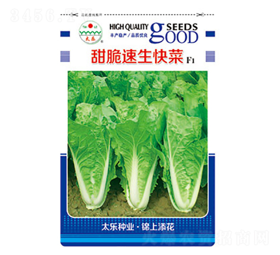 �ײ˷N��-����������-̫���N�I