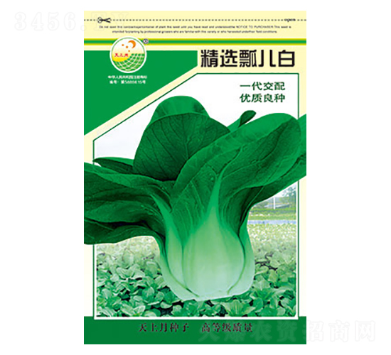 白菜種子-精選瓢兒白-太樂種業