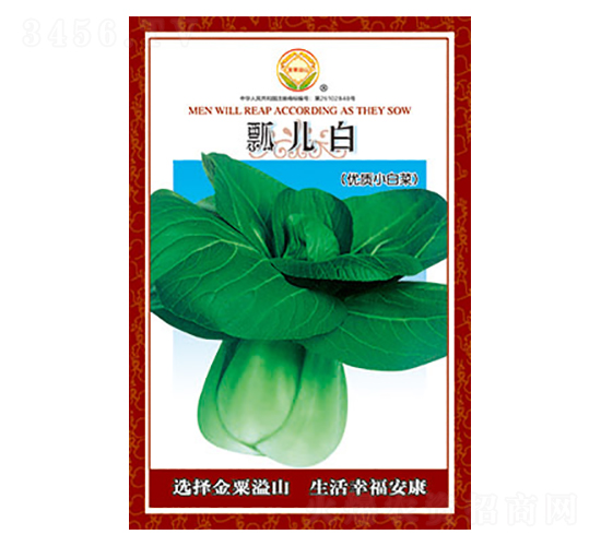 �ײ˷N��-ư����-̫���N�I