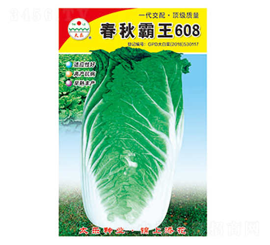 �ײ˷N��-�������608-̫��(l��)�N�I(y��)