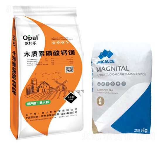 ľ�|�ػ����}�V-�W�㘷