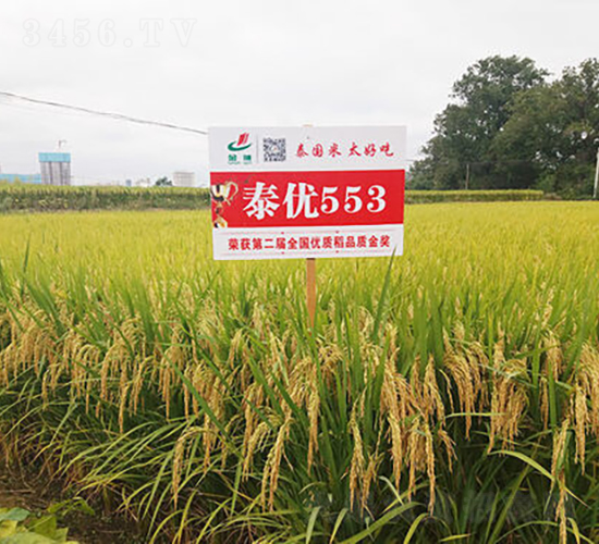 ̩��553-ˮ���N��-�𽡷N�I