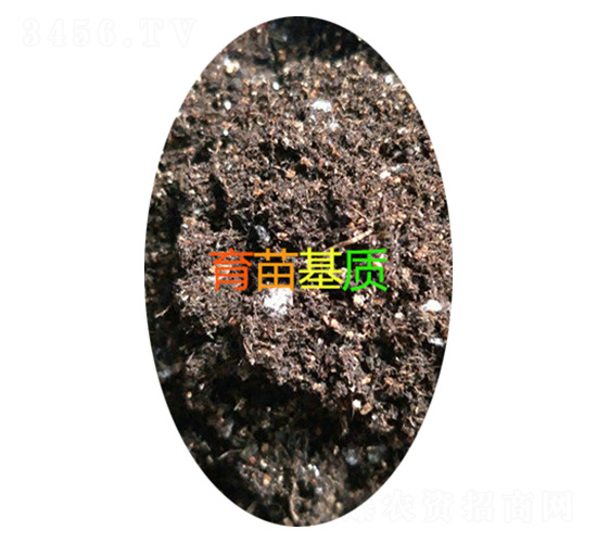 ������|-���d����