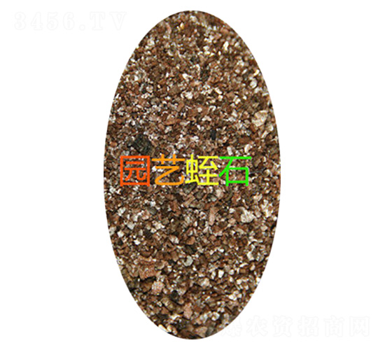 �@ˇ��ʯ-���d����