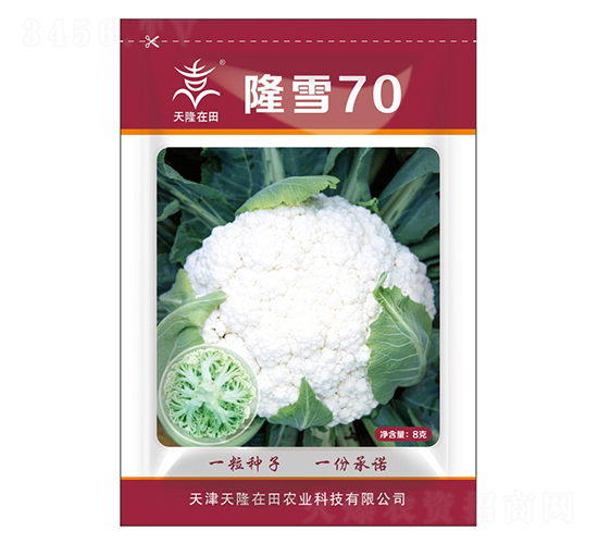 隆雪70-天隆在田-天隆農業