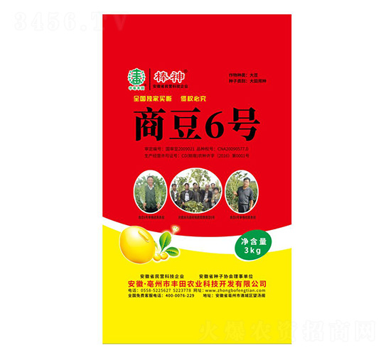 商豆6號大豆種子-豐田農業