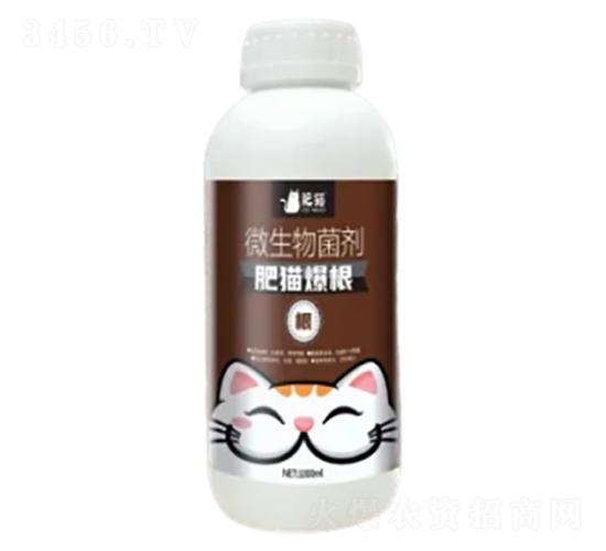 微生物菌劑-肥貓爆根-肥貓農業