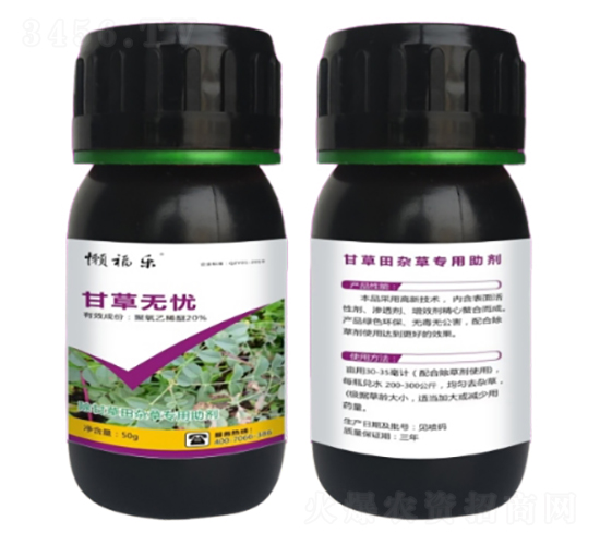 �ʲ����s�݌�������-�ʲݟo�n-�r���r�I