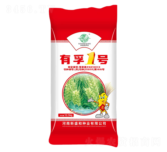 小麥種子-有孚1號-新盛和種業