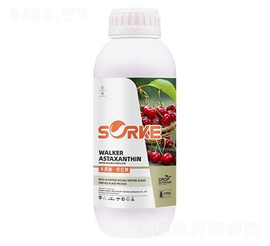 ľ�|(zh��)�ᡤ�r�t��-ʩ�ֿ�